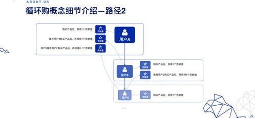 大健康产品与循环购模式的完美结合